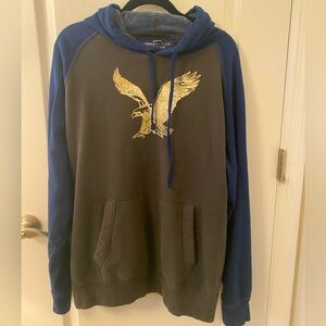 American Eagle Outfitters Men's Blue and Brown Hoodie with Eagle Design